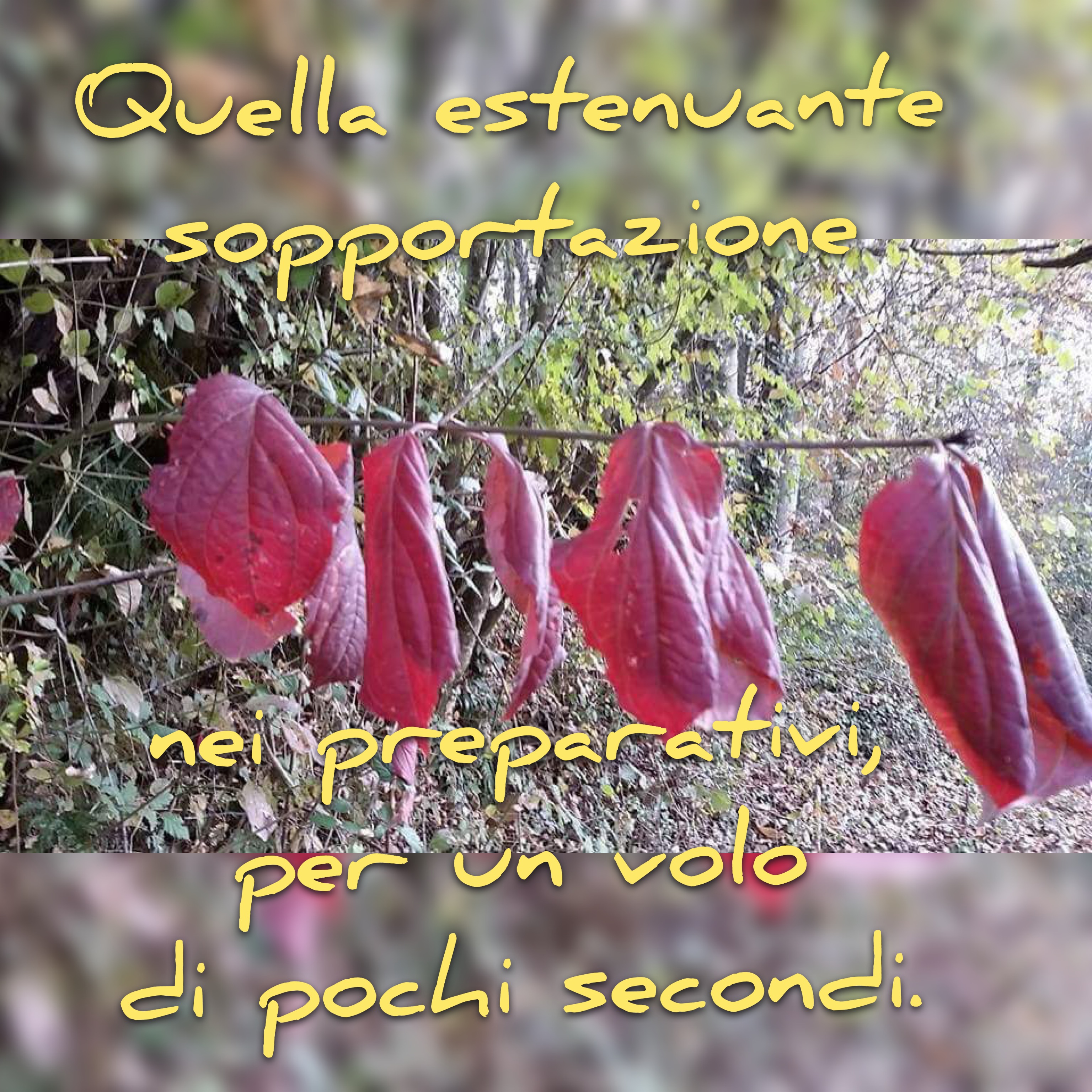 IN AUTUNNO
