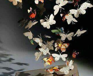 Un volo di farfalle