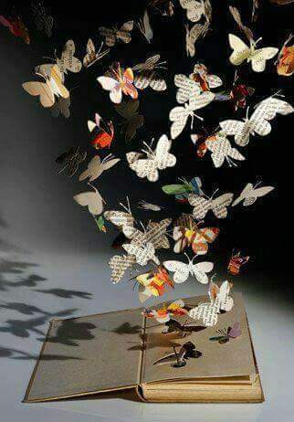 Un volo di farfalle