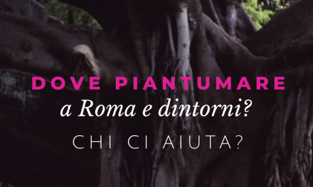 Come e dove piantumare a Roma? Ci aiutate?