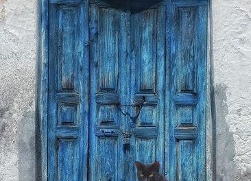 Il gatto dietro la porta (rielaborazione de “Il gatto” di Graziella Dimilito)