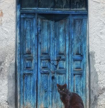 Il gatto dietro la porta (rielaborazione de “Il gatto” di Graziella Dimilito)