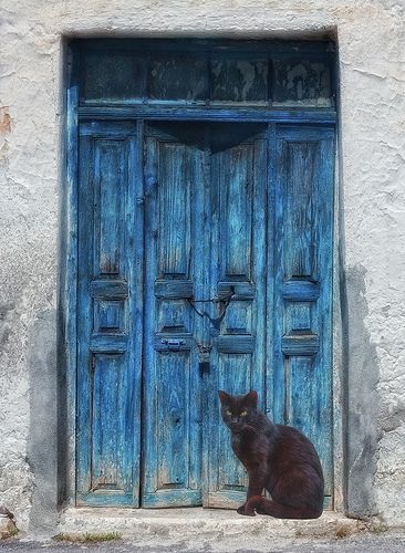 Il gatto dietro la porta (rielaborazione de “Il gatto” di Graziella Dimilito)