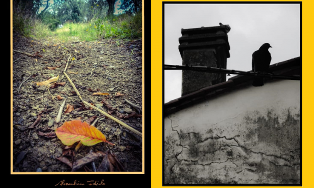 AGRITURISMO di Graziella Dimilito (uno spunto da una foto)