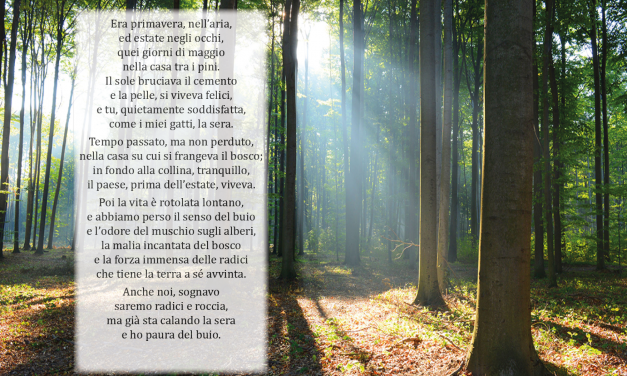 La casa tra i pini